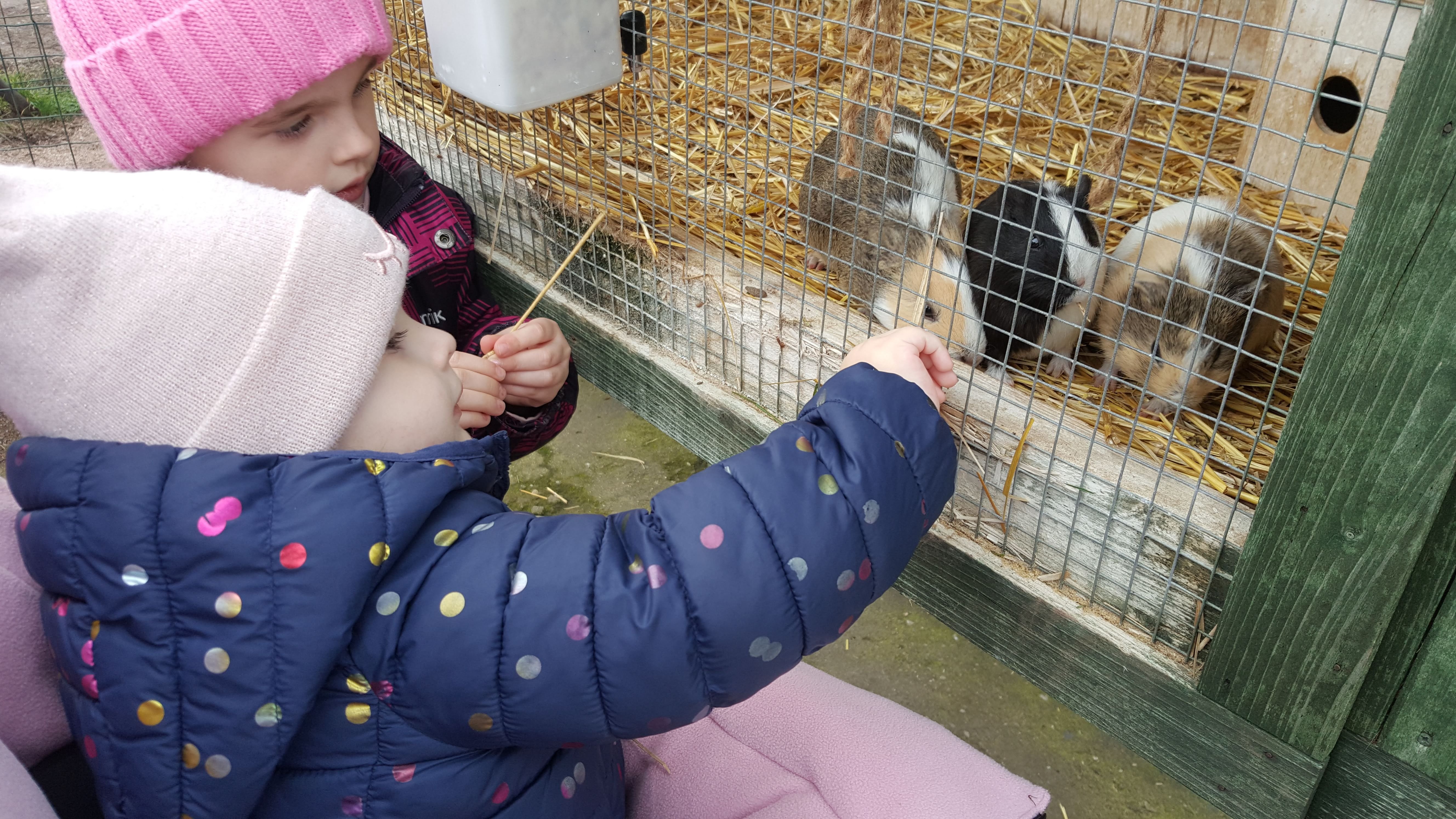 Návštěva miniZOO Návštěva miniZOO